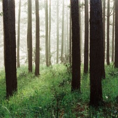 mình-Boem