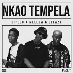 AMAPIANO BANGERS