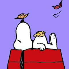 DOGDÀYS prod.hoodrixh