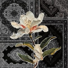 تلاوة مُحبّرة لفواتح سورة الأعراف | ياسر جاد