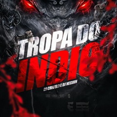 MTG- TROPA DO INDIO X PLOF PLOF - DJ CRIVELO