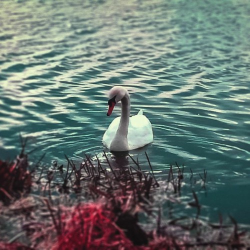 Oleg Byonic - Distant