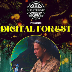 Digital Forest - quarantine season 2