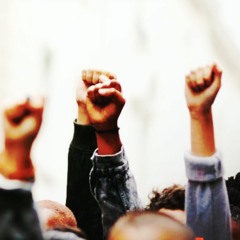 Mali Karma - Organisés