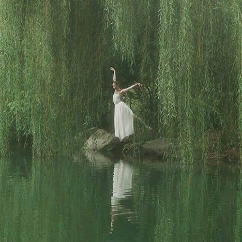 Willow sombr speduptiktokversion