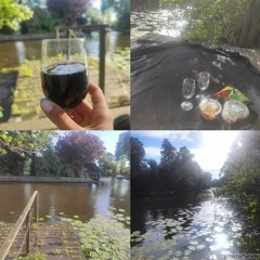 The Picnic Memory - Пам'ять про пікнік