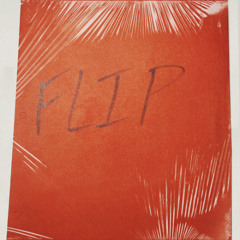 Flip The Script