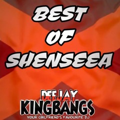 Best of SHENSEEA Mix 2024 ( Hit & Run, Work Me Out , Neva Neva, Shen Yeng Anthem, Dolla & more)