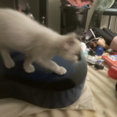 Get used to it(instru)- Prod. Spark