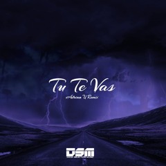 Manu Chao - Tu Te Vas Feat. Laeti (Adrian U Remix) Preview
