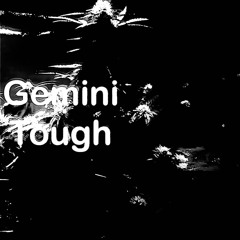Gemini tough