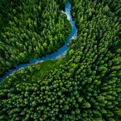 Deep Woods #38: Progressive Organic House (16BL, Franky Wah, Djimboh, Nick Warren)