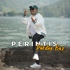 Perintis