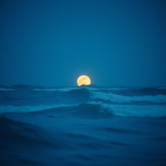 Ocean in My Veins