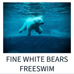 Fine White Bears - Freeswim