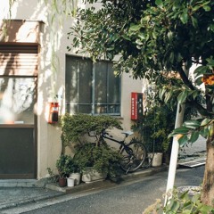 Japan 🌸 (Speedup)