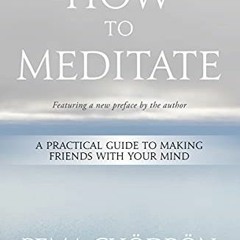 FREE PDF 📥 How to Meditate: A Practical Guide to Making Friends with Your Mind by  P