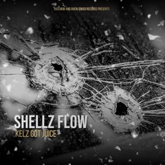 Shellz Flow