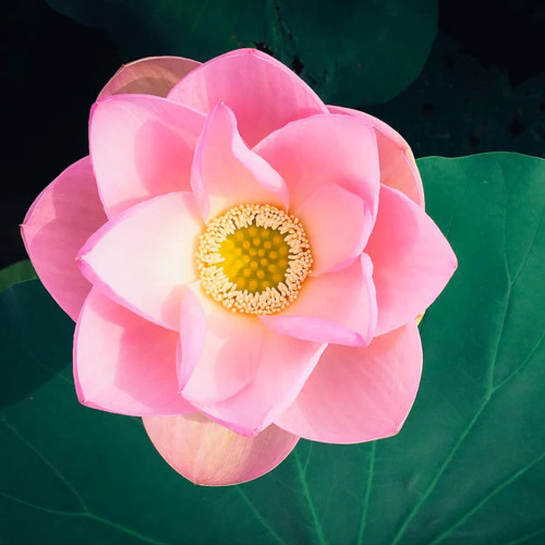 BL00D // WATER but i sped it up