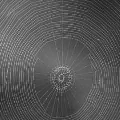 Threads