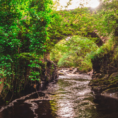 Quietly the river flows - Seagull & Clara