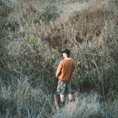 Vices
