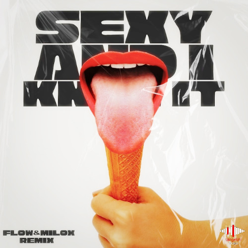 LMFAO Sexy and I Know It Remixes 12インチ LMFAO – Sexy And I Know It (Remixes) – Vinyl (12