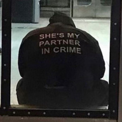 the perfect crime