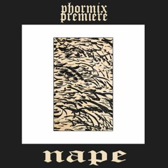 Premiere: Nape - Microdosing [PLIB019]
