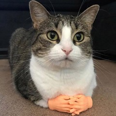 pur