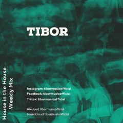 House in the House 001 by TiBOR - Tiesto | Martin Garrix | Black Coffee | Dua Lipa | David Guetta...