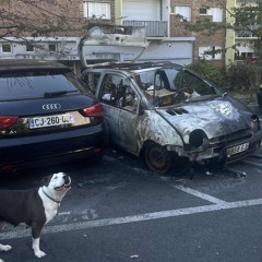 Mindgames - Darkio Blacks @onemullz