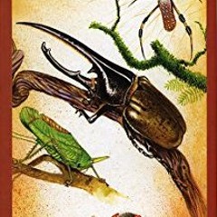 Access EPUB 📙 Costa Rica Arachnids & Insects Wildlife Guide (Laminated Foldout Pocke