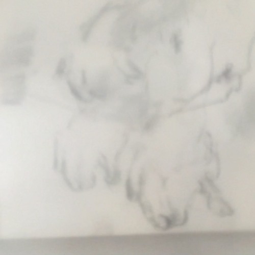 i had a dream about you so i slept a little longer