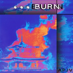APJV - BURN