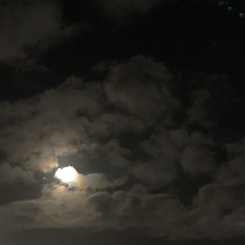 Noel - Cover feat. Caleb and Kelsey [mAncient bg vocals]