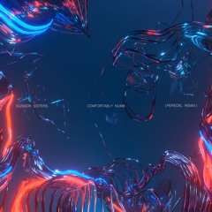 Scissor Sisters - Comfortably Numb (Peredel Remix)