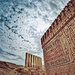 زامل هدهد سباء