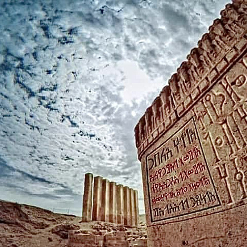 زامل هدهد سباء