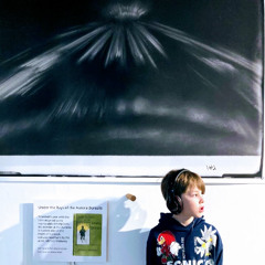 Under the Rays of the Aurora Borealis