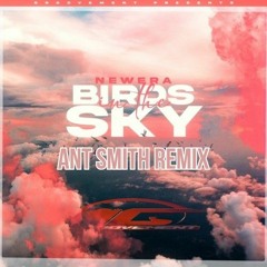 New Era - Birds In The Sky (Ant Smith Remix)