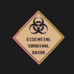 96PROBLMES - Survival Guide (Prod. theskybeats)
