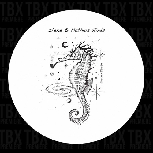 Premiere: zlene & Mathias Hinds - Djup Trolling (Per Hammar Remix) [Seaweed Rhythm]