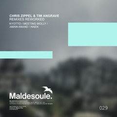 CHRIS ZIPPEL & TIM ANGRAVE Stealth (Kyotto Remix - Rework)
