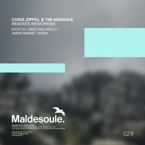 CHRIS ZIPPEL & TIM ANGRAVE Shadow (Aman Anand Remix - Rework)