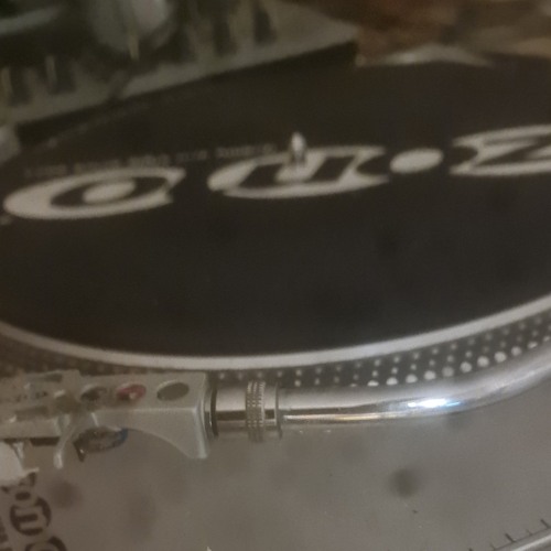 OdasLion Nuevo Curso 🧑‍🎓🧑‍🎓🧑‍🎓🎶🎶🎶🎵🎵