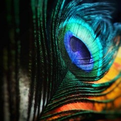 Ho Muhanje Goday Nind Suti |Rajab Faqeer