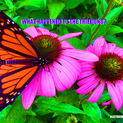 What Happened to the Trillions