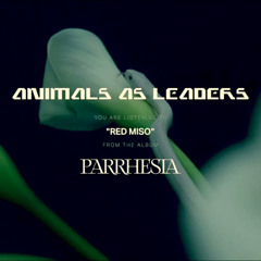 Animals as Leaders - "Red Miso" [Slowed + Reverb]
