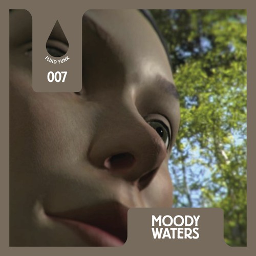 Fluid Funk Podcast Series 007 // Moody Waters